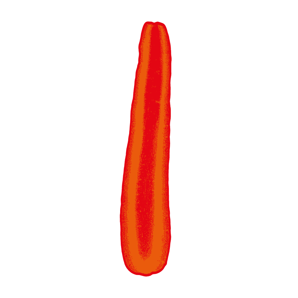 Carrot