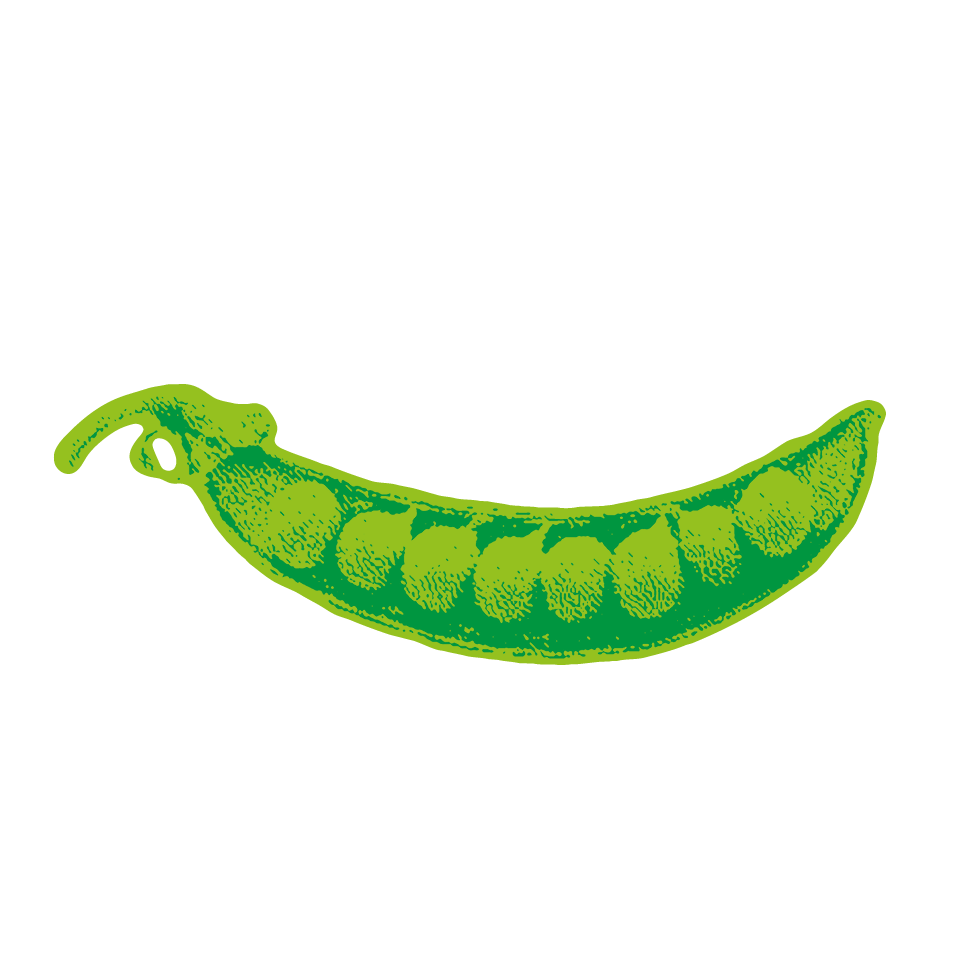 Pea