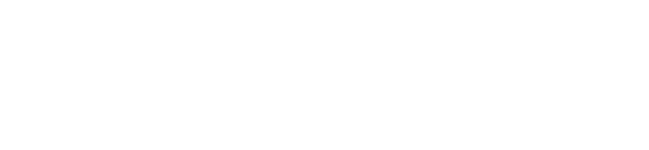 Dublin City Council Logo Dublin Town